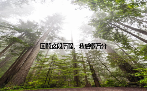 回顾这段历程, 我感慨万分