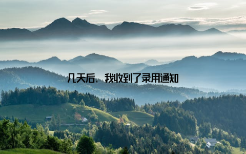 几天后, 我收到了录用通知