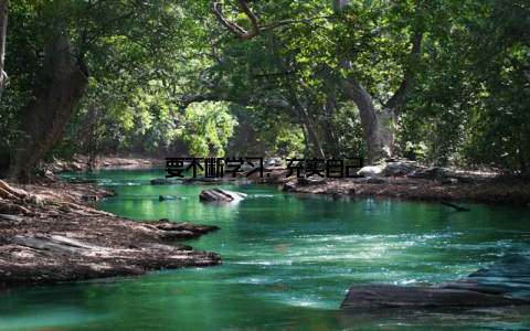 要不断学习, 充实自己