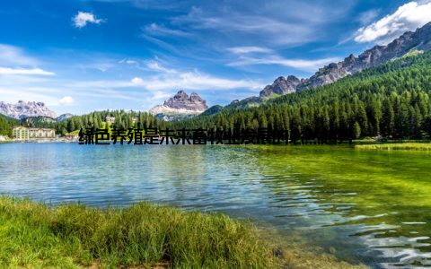 绿色养殖是未来畜牧业发展的必然趋势