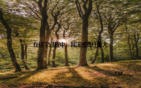 在这个过程中, 我深感责任重大