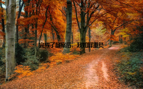 完成了备案后, 我如释重负