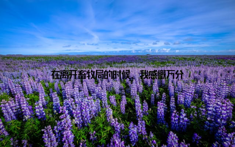 在离开畜牧局的时候, 我感慨万分