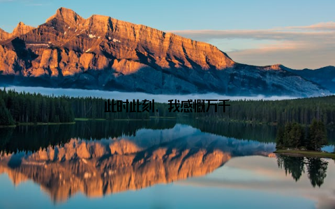 此时此刻, 我感慨万千
