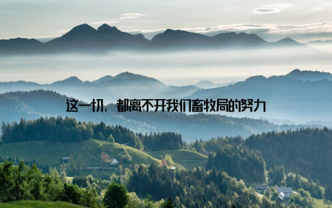 这一切, 都离不开我们畜牧局的努力