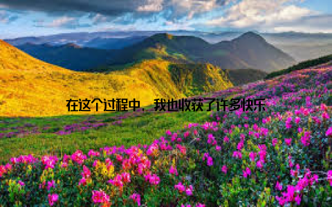 在这个过程中, 我也收获了许多快乐