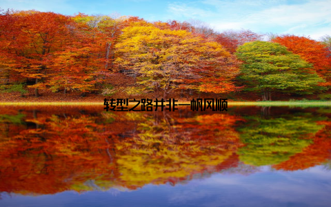 转型之路并非一帆风顺