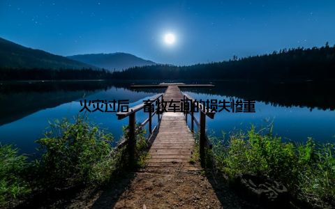 火灾过后, 畜牧车间的损失惨重