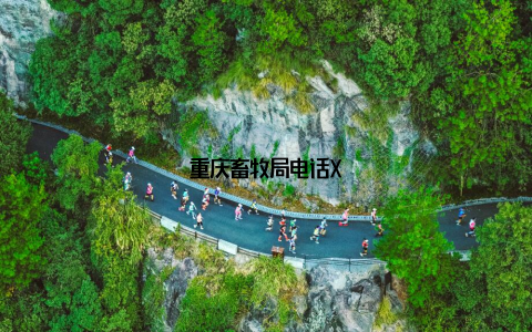 重庆畜牧局电话X–