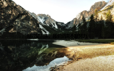 但展望未来, 我们仍需不断努力