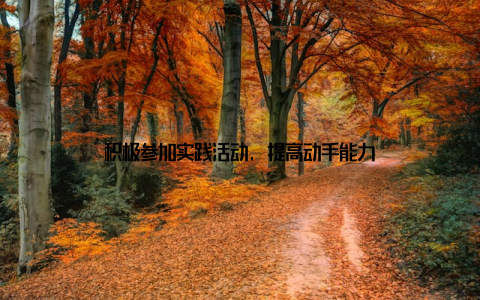 积极参加实践活动, 提高动手能力