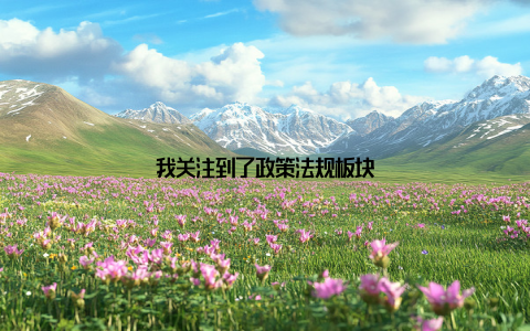 我关注到了政策法规板块