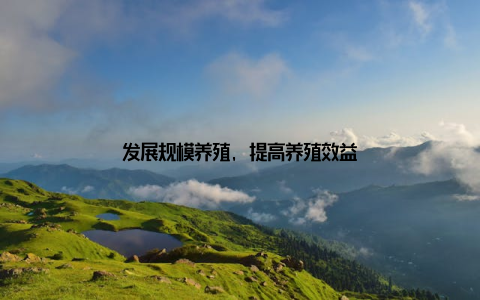 发展规模养殖, 提高养殖效益