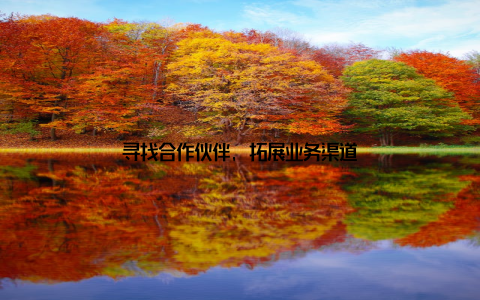 寻找合作伙伴, 拓展业务渠道