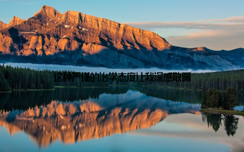 这种严谨的治学态度让我深感敬佩