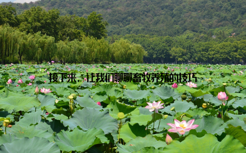 接下来, 让我们聊聊畜牧养殖的技巧