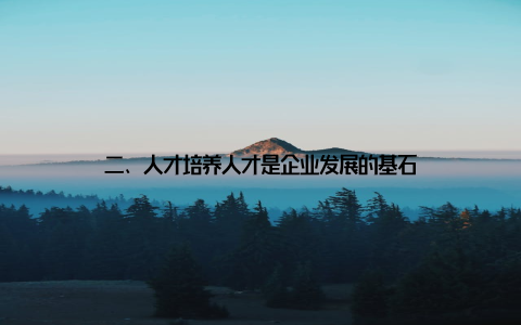 二、人才培养人才是企业发展的基石