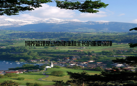 饲养管理是动物健康和生长的重要保障