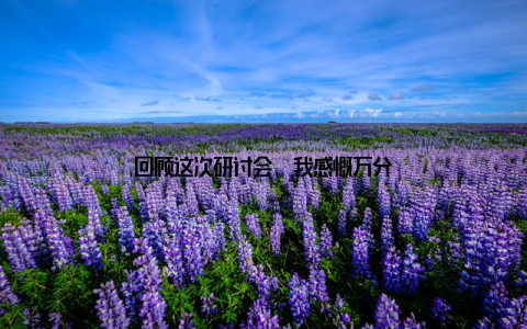 回顾这次研讨会, 我感慨万分