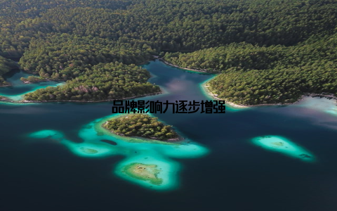 品牌影响力逐步增强