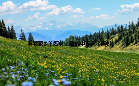 看着家乡的变化, 我心中充满了喜悦