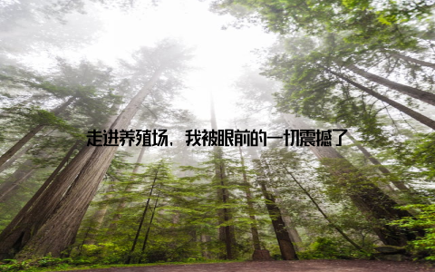 走进养殖场, 我被眼前的一切震撼了