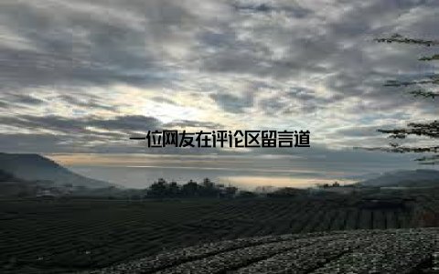 一位网友在评论区留言道