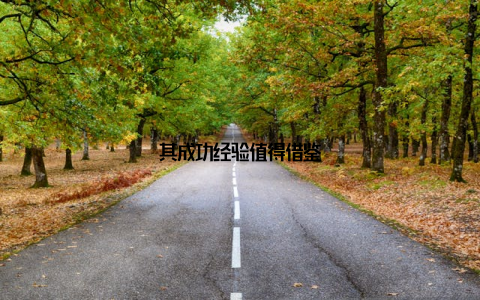 其成功经验值得借鉴