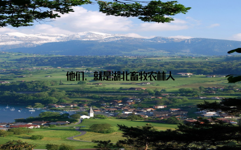 他们, 就是湖北畜牧农林人