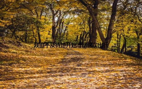 我迫不及待地开始准备这次出行