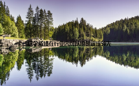 这个成绩在行业内可以说是遥遥领先