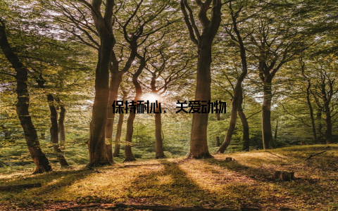 保持耐心, 关爱动物