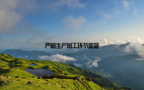 严格生产加工环节监管