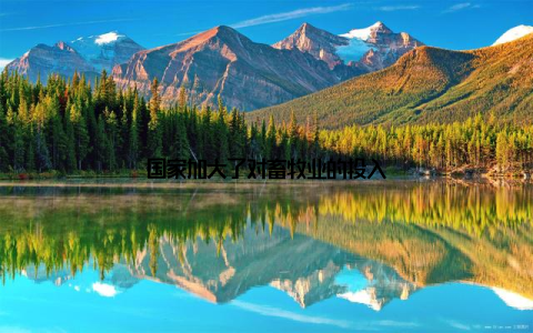 国家加大了对畜牧业的投入