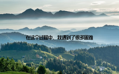 在这个过程中, 我遇到了很多困难