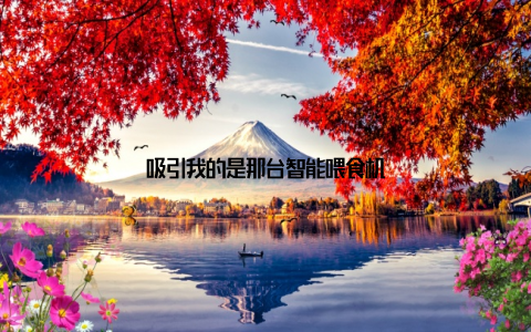 吸引我的是那台智能喂食机