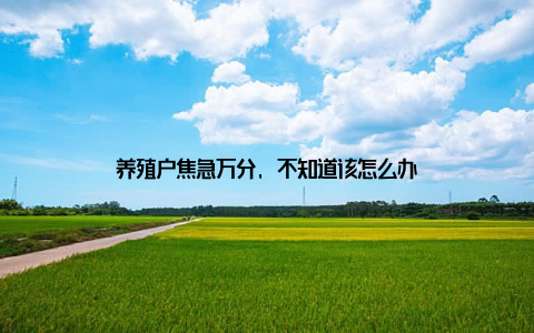 养殖户焦急万分, 不知道该怎么办