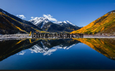 这就是畜牧市场的真实写照