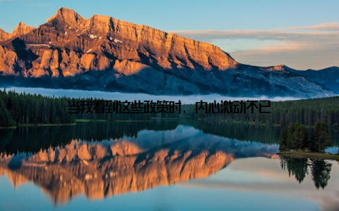 当我看到这些政策时, 内心激动不已